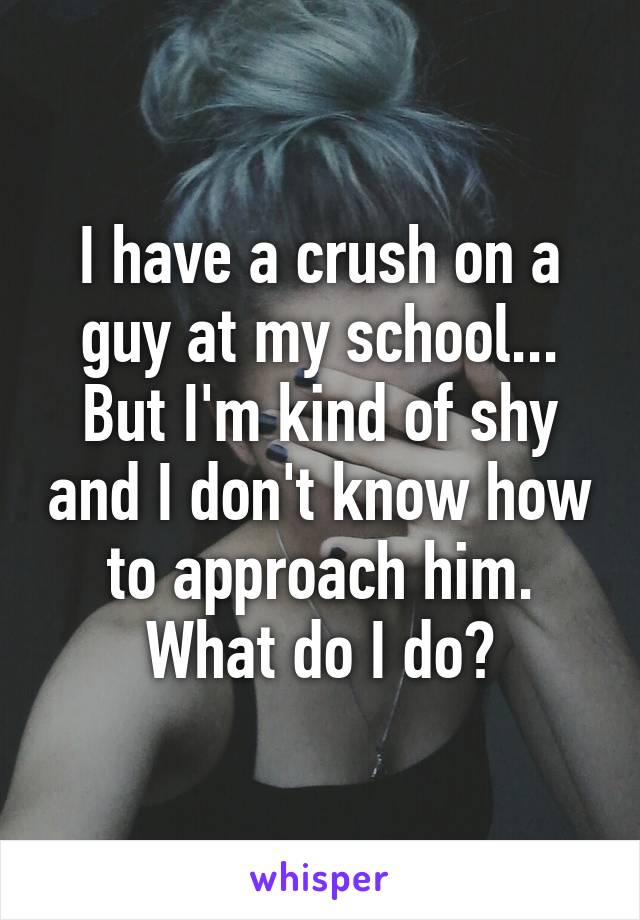 I have a crush on a guy at my school... But I'm kind of shy and I don't know how to approach him. What do I do?