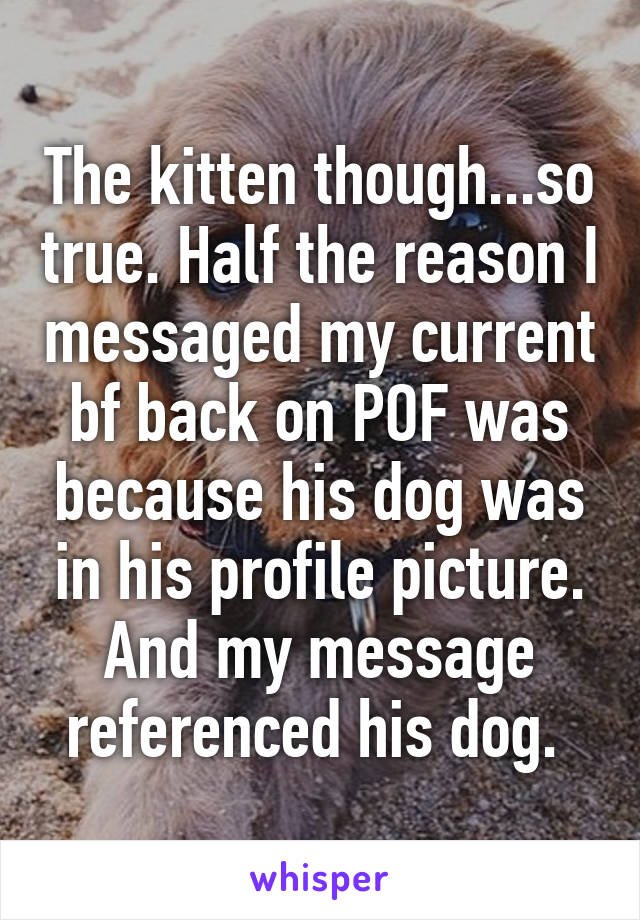 The kitten though...so true. Half the reason I messaged my current bf back on POF was because his dog was in his profile picture. And my message referenced his dog. 