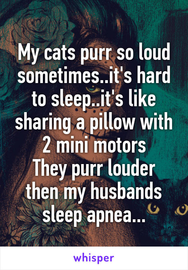 My cats purr so loud sometimes..it's hard to sleep..it's like sharing a pillow with 2 mini motors
They purr louder then my husbands sleep apnea...