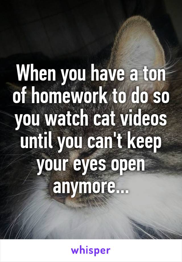 When you have a ton of homework to do so you watch cat videos until you can't keep your eyes open anymore...