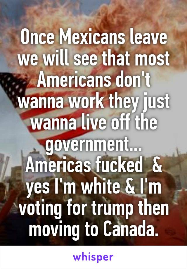 Once Mexicans leave we will see that most Americans don't wanna work they just wanna live off the government... Americas fucked  & yes I'm white & I'm voting for trump then moving to Canada.