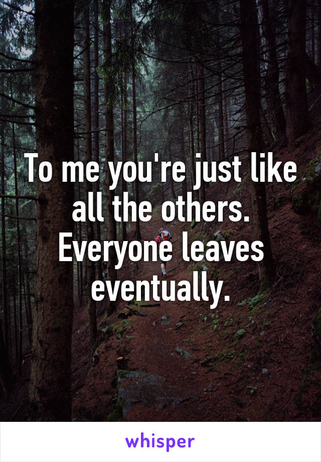 To me you're just like all the others. Everyone leaves eventually.