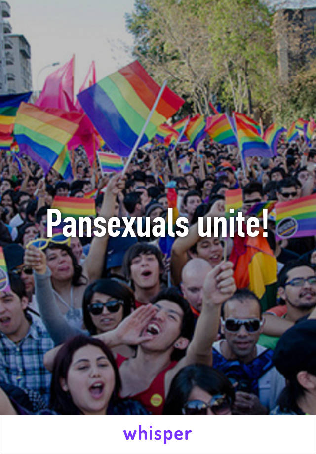 Pansexuals unite!