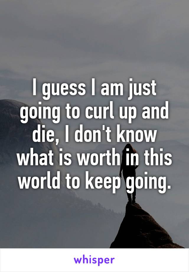 I guess I am just going to curl up and die, I don't know what is worth in this world to keep going.