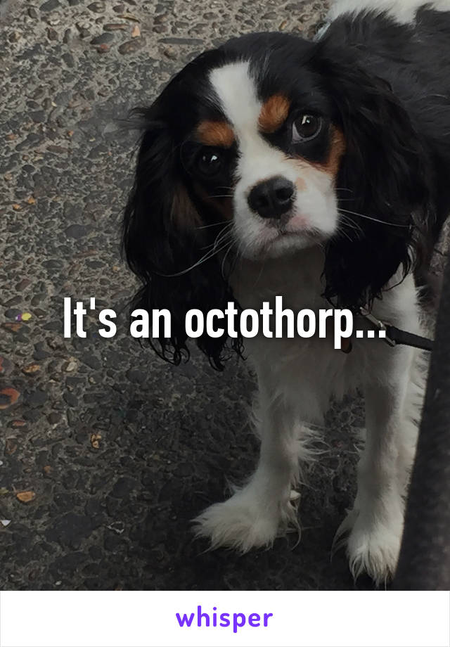 It's an octothorp...