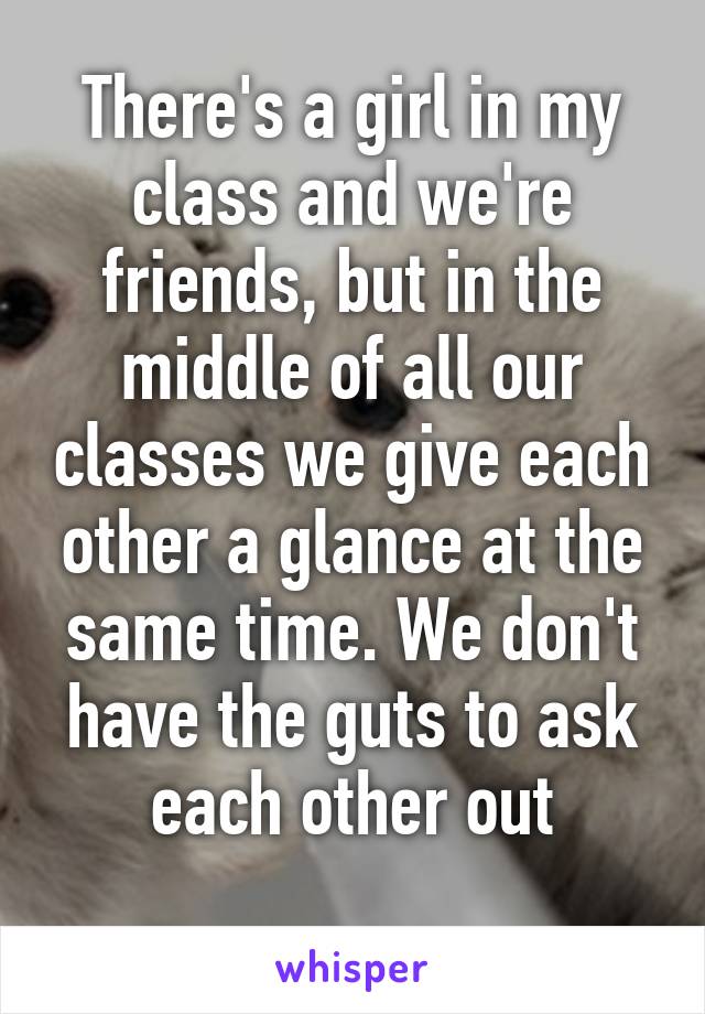 There's a girl in my class and we're friends, but in the middle of all our classes we give each other a glance at the same time. We don't have the guts to ask each other out
