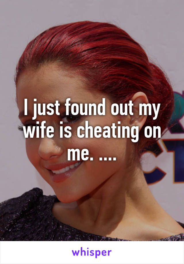 I just found out my wife is cheating on me. ....