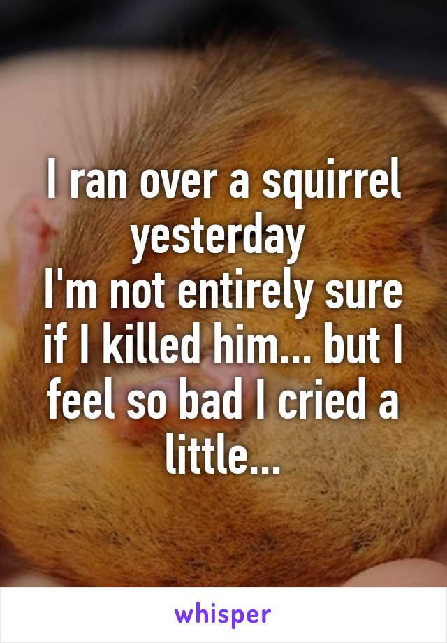 I ran over a squirrel yesterday 
I'm not entirely sure if I killed him... but I feel so bad I cried a little...