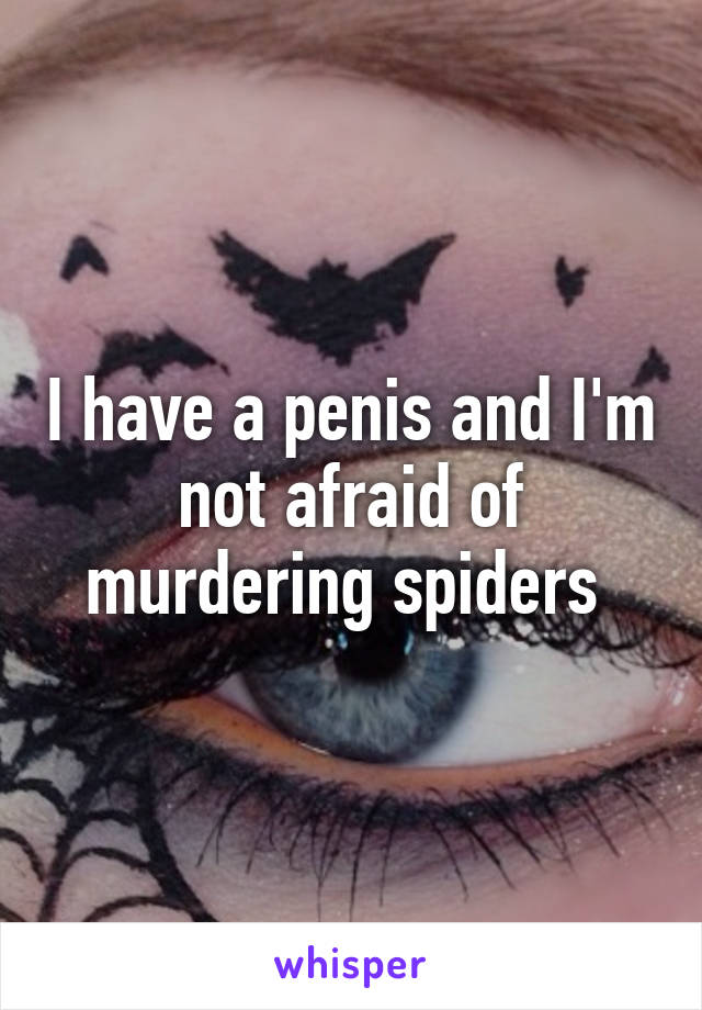 I have a penis and I'm not afraid of murdering spiders 