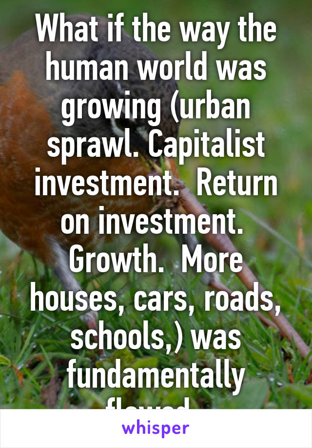 What if the way the human world was growing (urban sprawl. Capitalist investment.  Return on investment.  Growth.  More houses, cars, roads, schools,) was fundamentally flawed. 