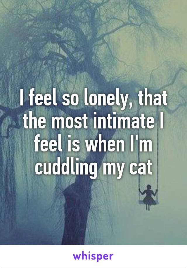 I feel so lonely, that the most intimate I feel is when I'm cuddling my cat