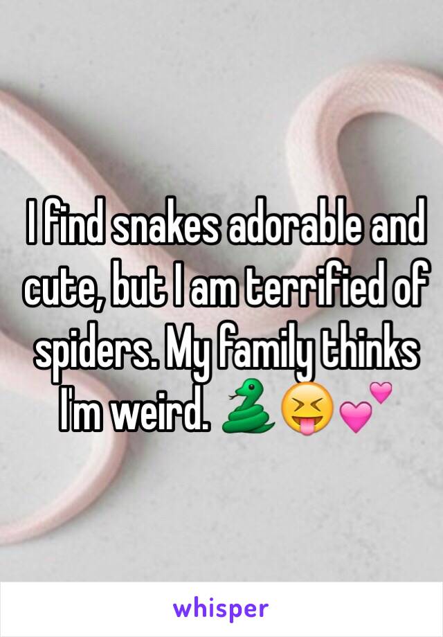 I find snakes adorable and cute, but I am terrified of spiders. My family thinks I'm weird. 🐍😝💕