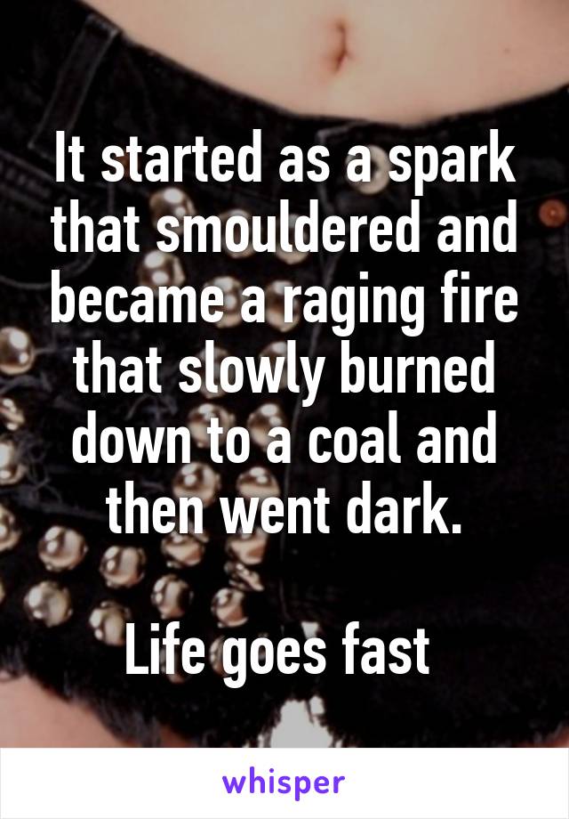 It started as a spark that smouldered and became a raging fire that slowly burned down to a coal and then went dark.

Life goes fast 