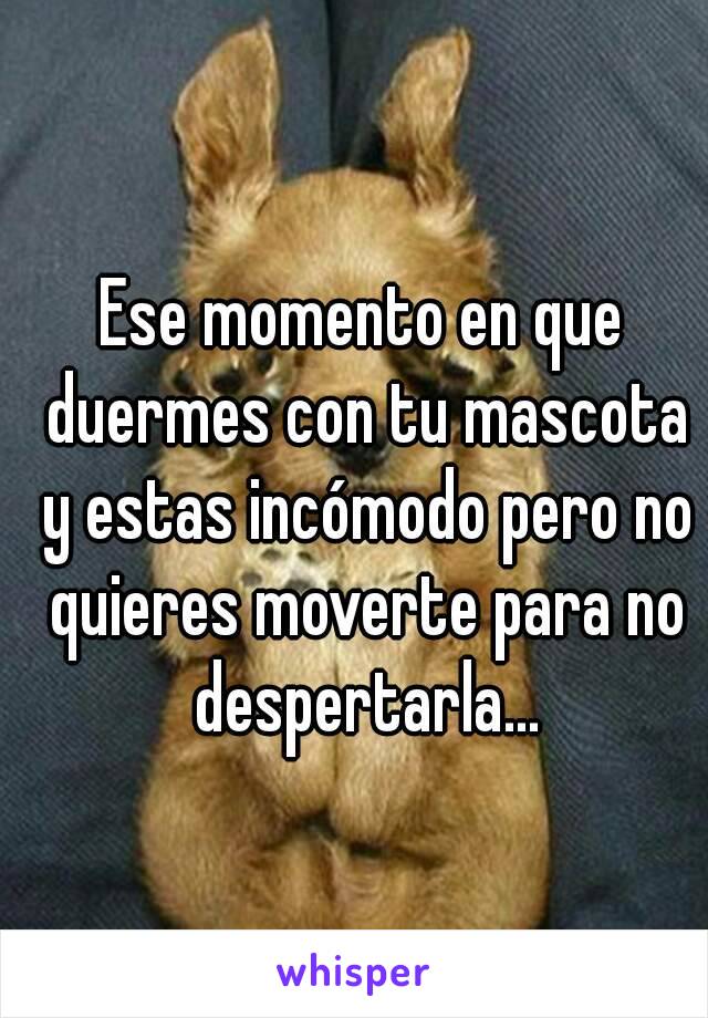 Ese momento en que duermes con tu mascota y estas incómodo pero no quieres moverte para no despertarla...