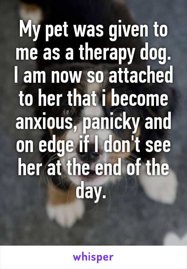 My pet was given to me as a therapy dog. I am now so attached to her that i become anxious, panicky and on edge if I don't see her at the end of the day. 

