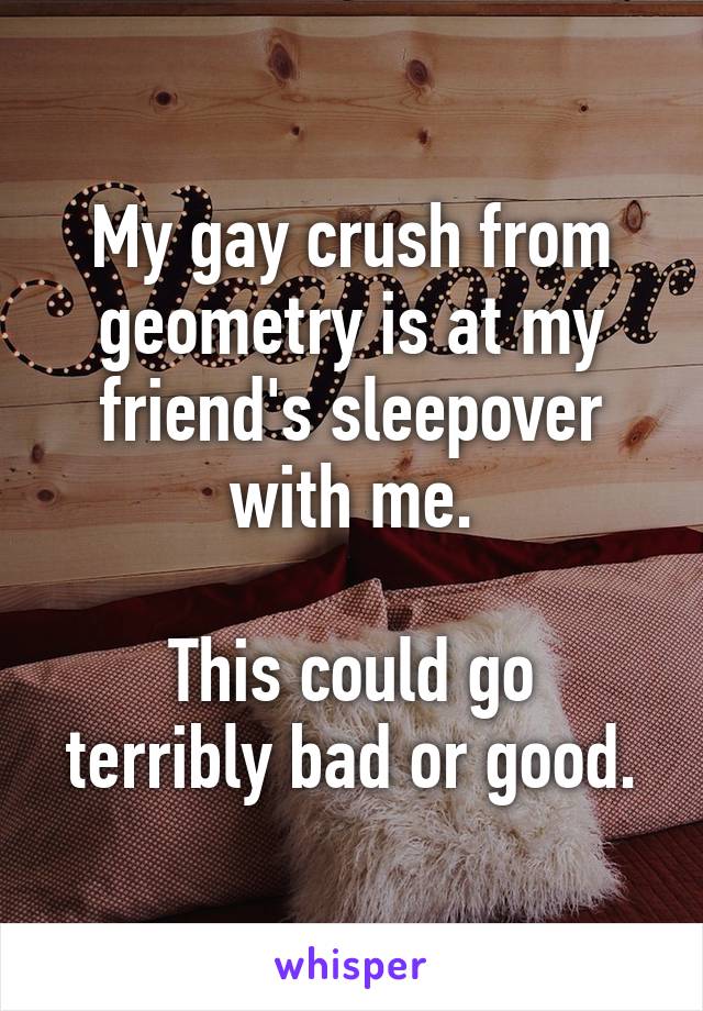 My gay crush from geometry is at my friend's sleepover with me.

This could go terribly bad or good.