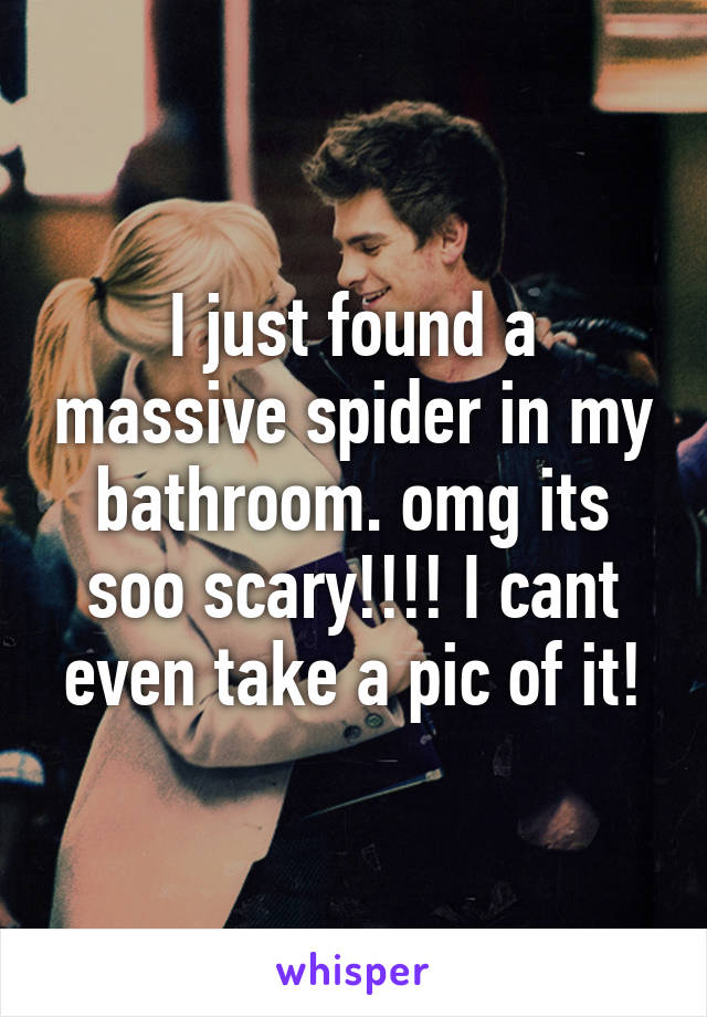 I just found a massive spider in my bathroom. omg its soo scary!!!! I cant even take a pic of it!