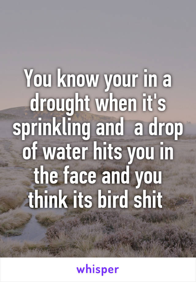 You know your in a drought when it's sprinkling and  a drop of water hits you in the face and you think its bird shit 