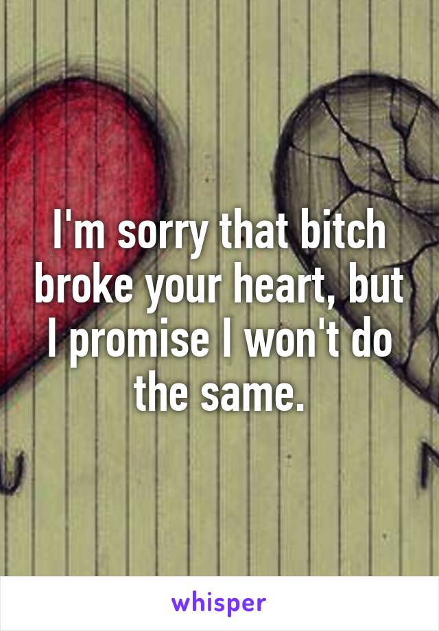 I'm sorry that bitch broke your heart, but I promise I won't do the same.