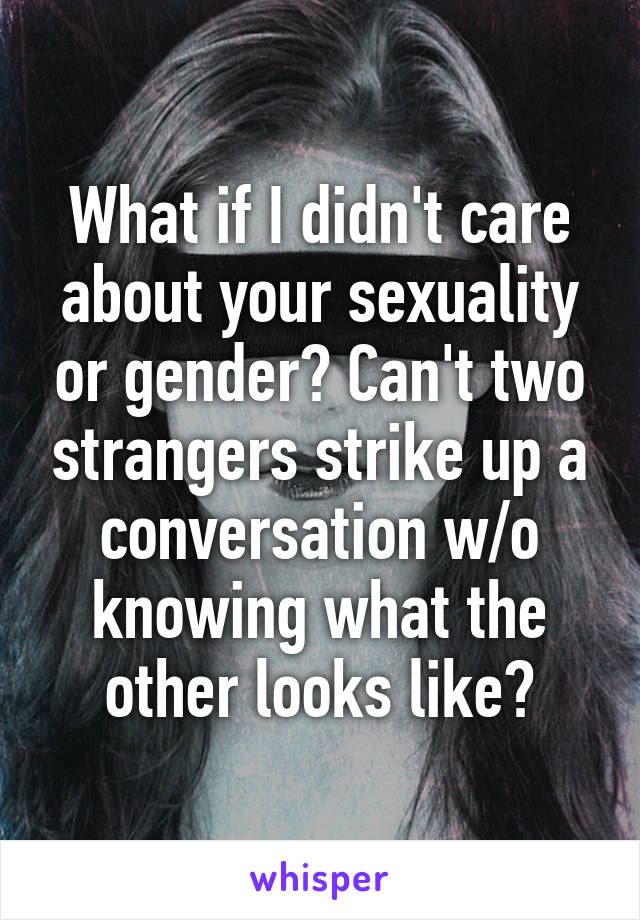 What if I didn't care about your sexuality or gender? Can't two strangers strike up a conversation w/o knowing what the other looks like?