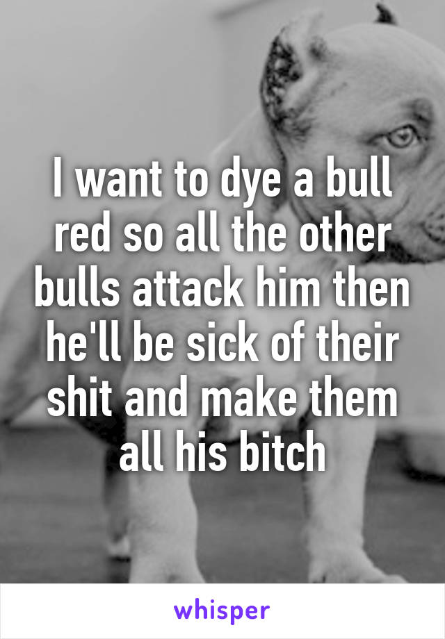 I want to dye a bull red so all the other bulls attack him then he'll be sick of their shit and make them all his bitch