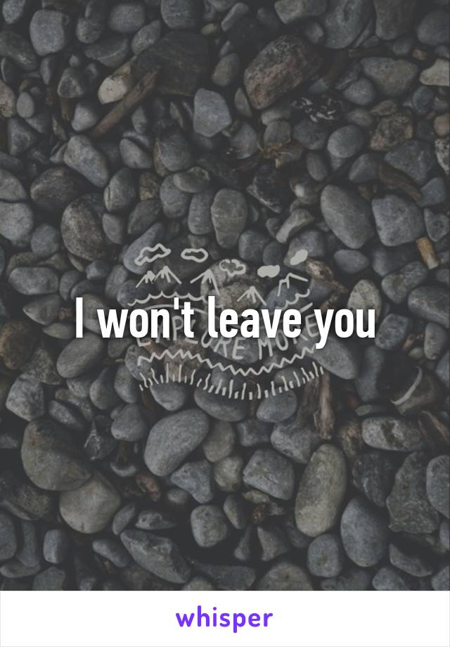 I won't leave you