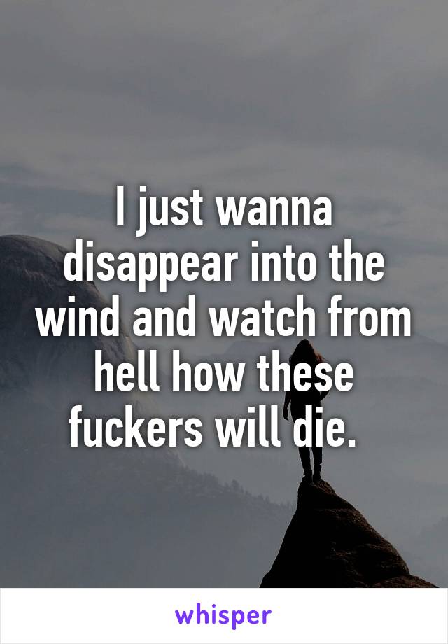 I just wanna disappear into the wind and watch from hell how these fuckers will die.  