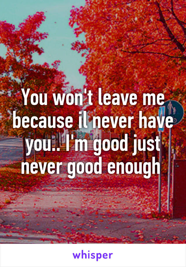 You won't leave me because il never have you.. I'm good just never good enough 