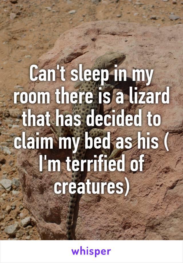 Can't sleep in my room there is a lizard that has decided to claim my bed as his ( I'm terrified of creatures)