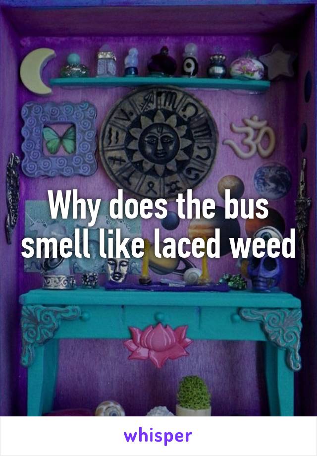 Why does the bus smell like laced weed