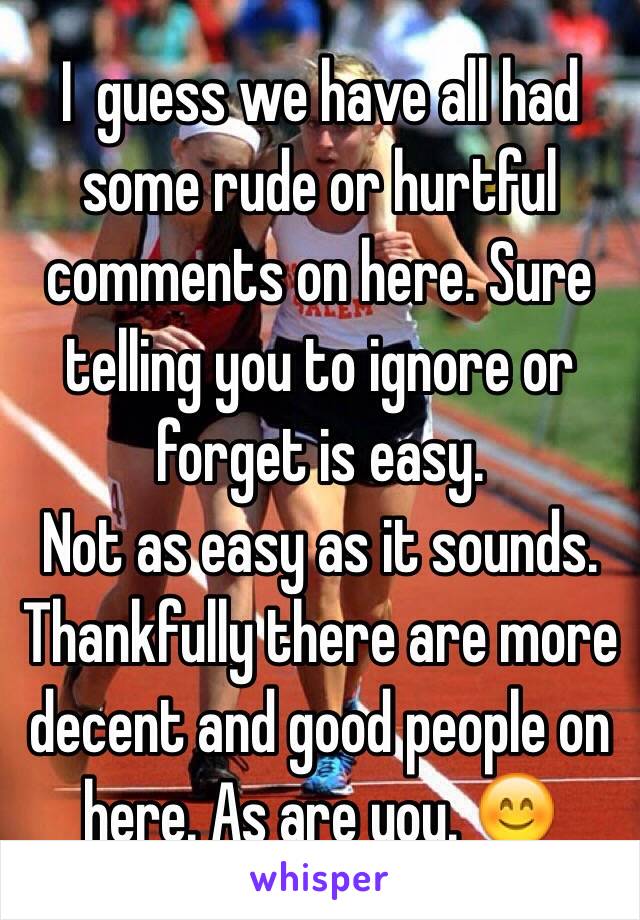 I  guess we have all had some rude or hurtful comments on here. Sure telling you to ignore or forget is easy.
Not as easy as it sounds.
Thankfully there are more decent and good people on here. As are you. 😊