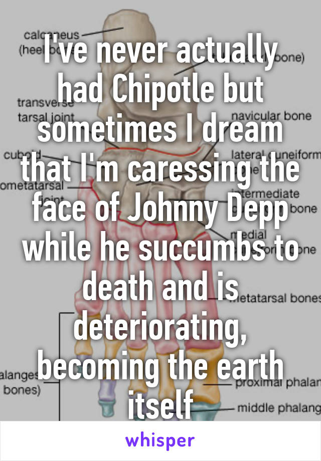 I've never actually had Chipotle but sometimes I dream that I'm caressing the face of Johnny Depp while he succumbs to death and is deteriorating, becoming the earth itself