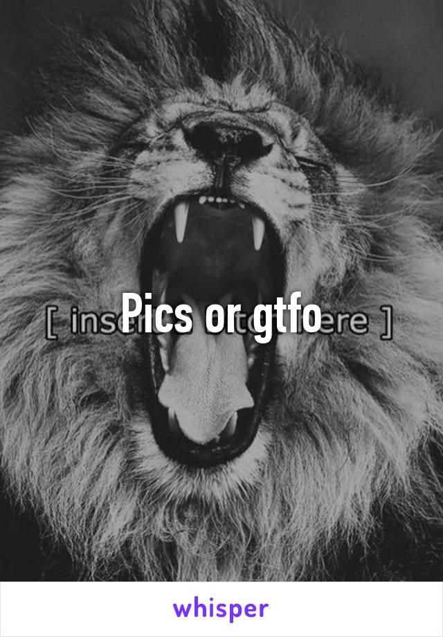 Pics or gtfo