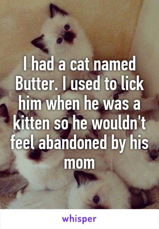 I had a cat named Butter. I used to lick him when he was a kitten so he wouldn't feel abandoned by his mom