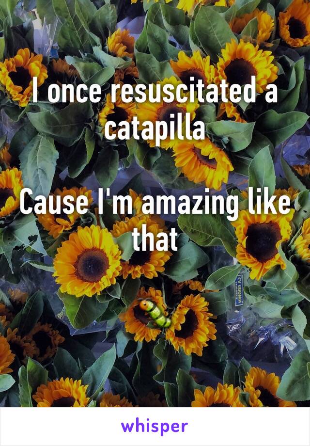 I once resuscitated a catapilla 

Cause I'm amazing like that

🐛