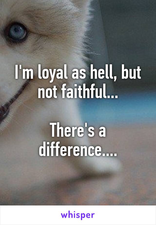 I'm loyal as hell, but not faithful...

There's a difference....