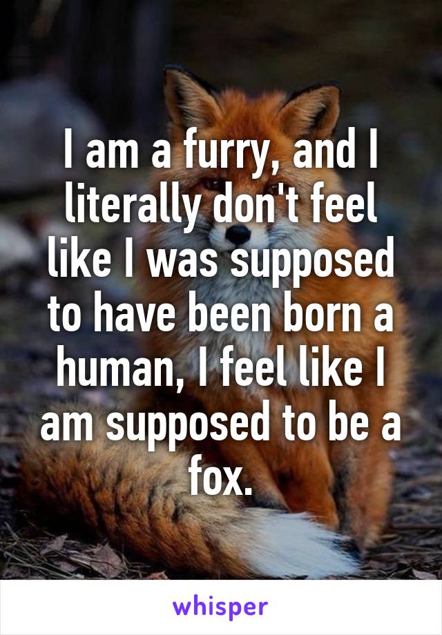 I am a furry, and I literally don't feel like I was supposed to have been born a human, I feel like I am supposed to be a fox.