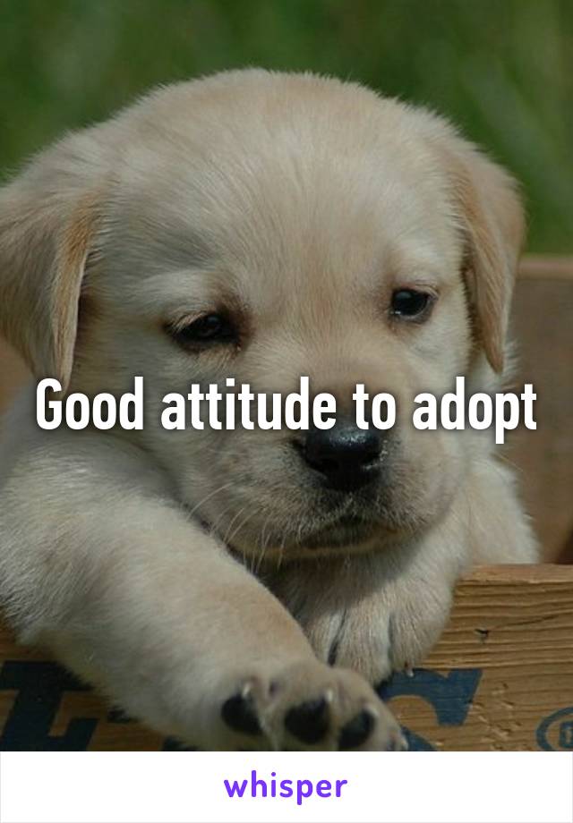 Good attitude to adopt