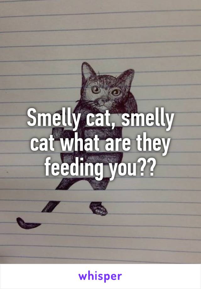 Smelly cat, smelly cat what are they feeding you??