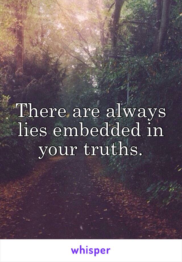 There are always lies embedded in your truths. 