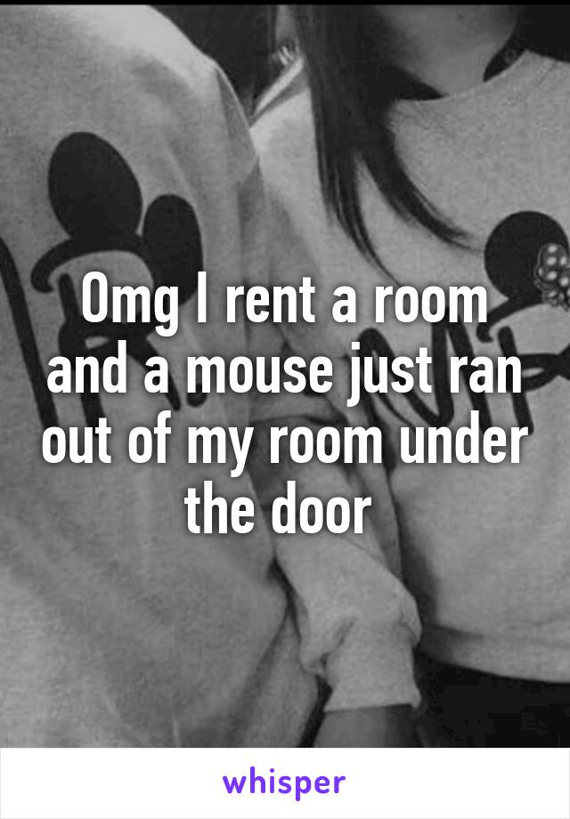 Omg I rent a room and a mouse just ran out of my room under the door 