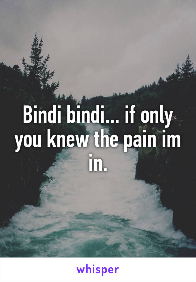 Bindi bindi... if only you knew the pain im in.