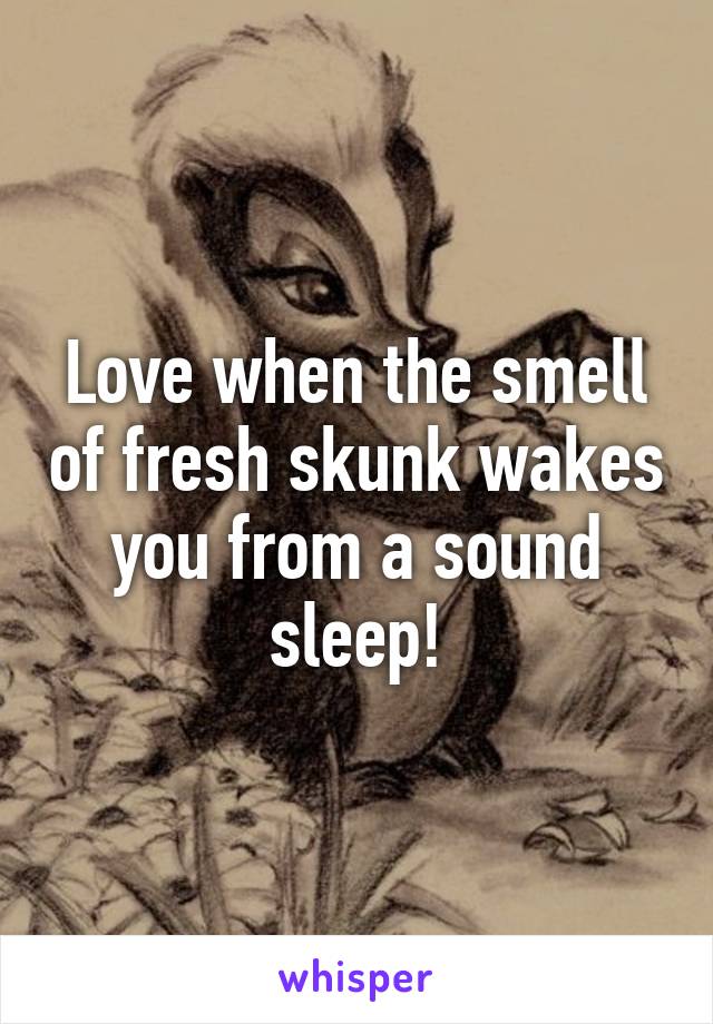 Love when the smell of fresh skunk wakes you from a sound sleep!