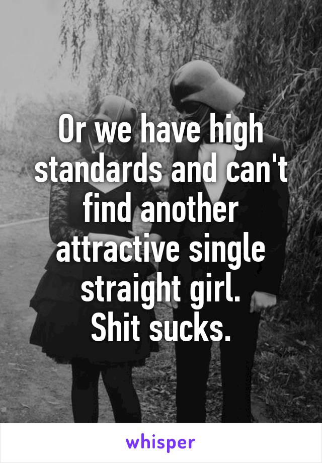 Or we have high standards and can't find another attractive single straight girl.
Shit sucks.