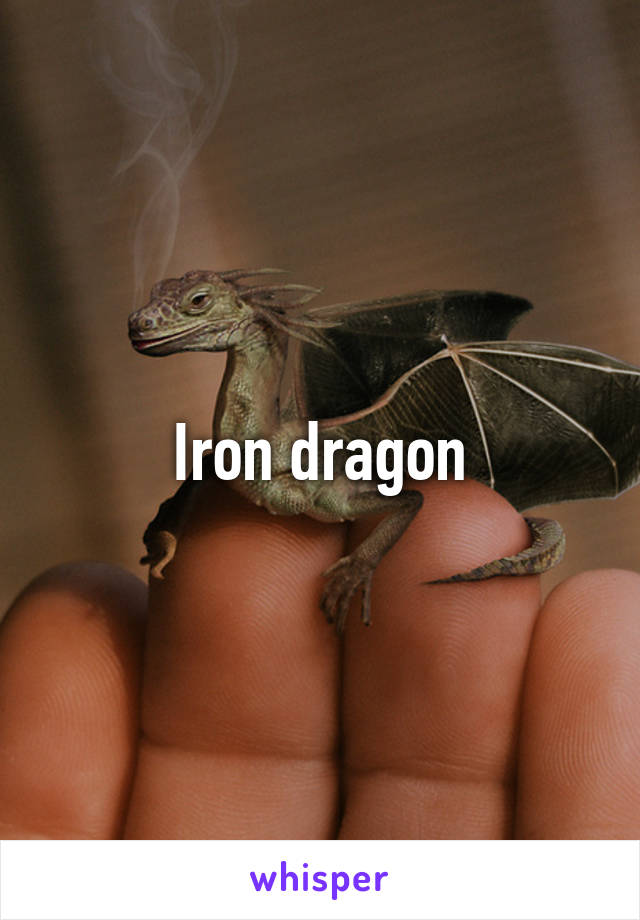 Iron dragon