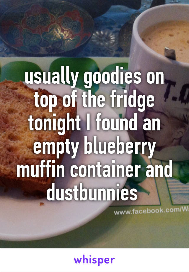 usually goodies on top of the fridge tonight I found an empty blueberry muffin container and dustbunnies 