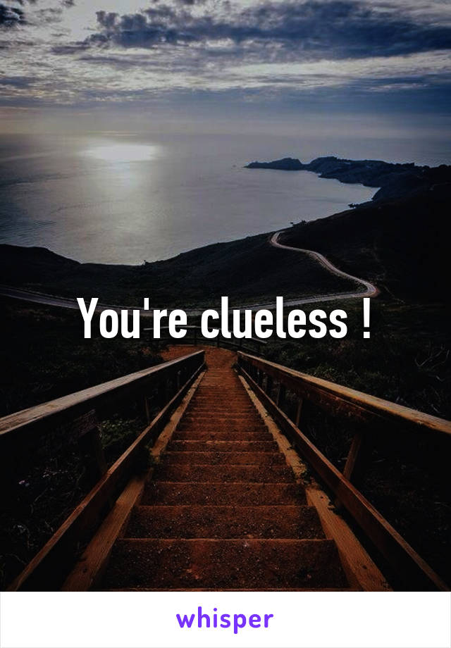 You're clueless !