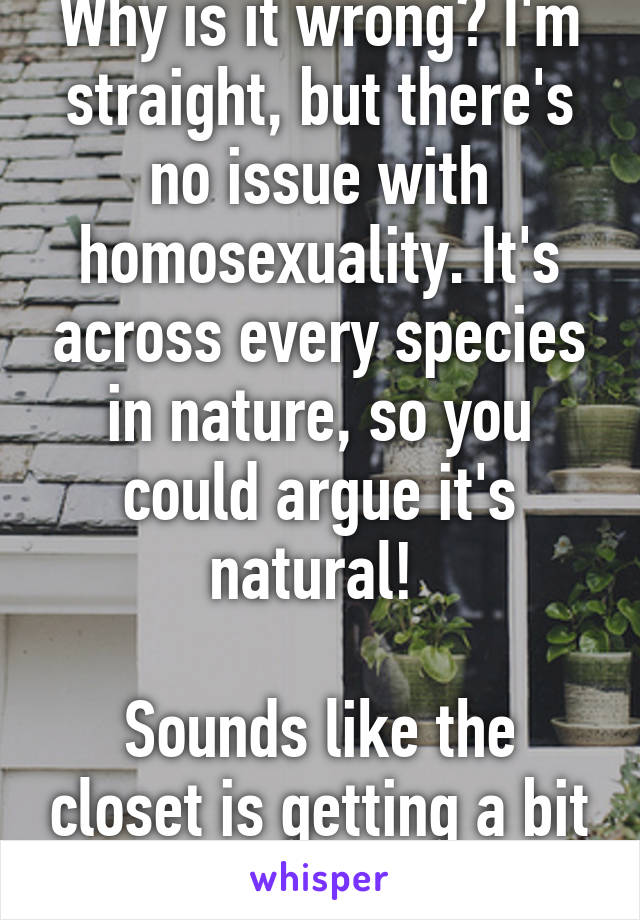 Why is it wrong? I'm straight, but there's no issue with homosexuality. It's across every species in nature, so you could argue it's natural! 

Sounds like the closet is getting a bit small for you :)