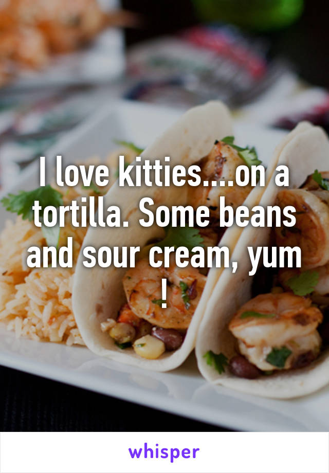 I love kitties....on a tortilla. Some beans and sour cream, yum !