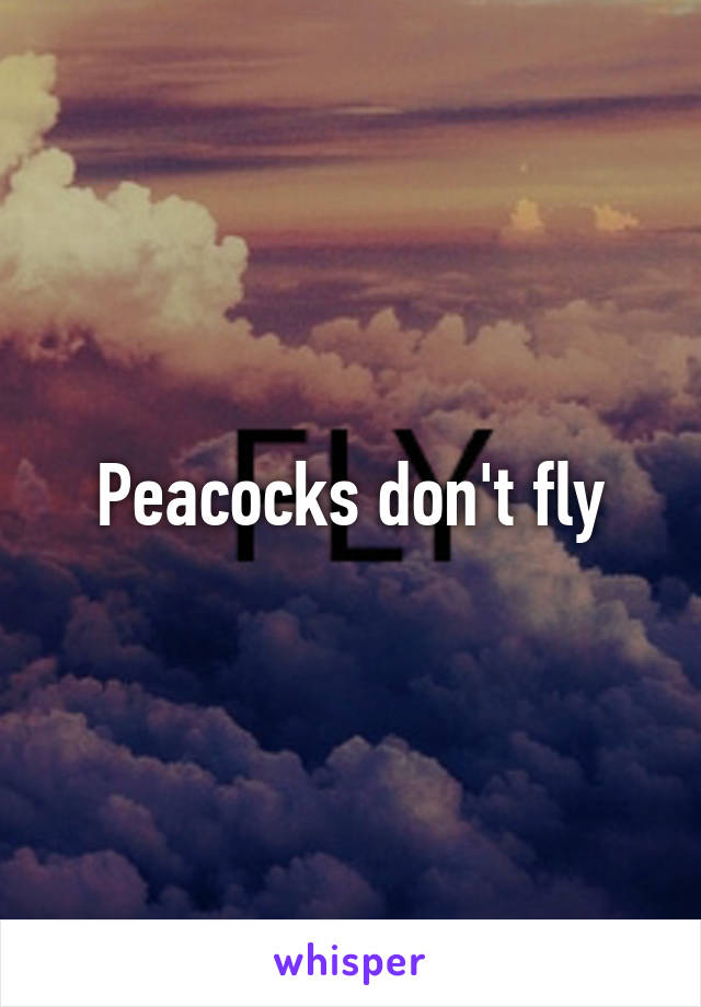 Peacocks don't fly